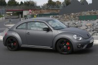BEETLE (14)